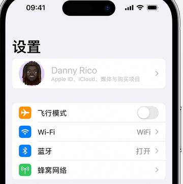 准格尔appleID维修服务iPhone设置中Apple ID显示为灰色无法使用 