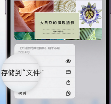 准格尔apple维修中心分享iPhone文件应用中存储和找到下载文件