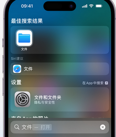 准格尔apple维修中心分享iPhone文件应用中存储和找到下载文件 