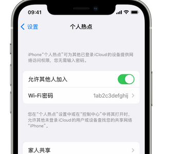 准格尔apple服务站点分享iPhone上个人热点丢失了怎么办 