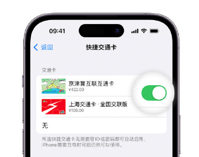 准格尔apple维修点分享iPhone上更换Apple Pay快捷交通卡手绘卡面 