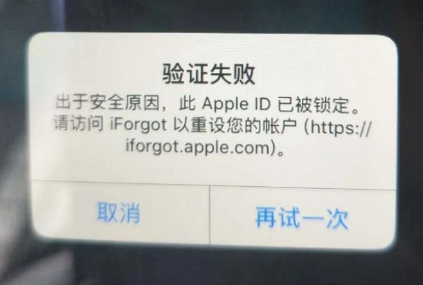 准格尔iPhone维修分享iPhone上正常登录或使用AppleID怎么办 