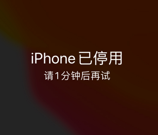 准格尔苹果手机维修分享:iPhone 显示“不可用”或“已停用”怎么办？还能保留数据吗？ 