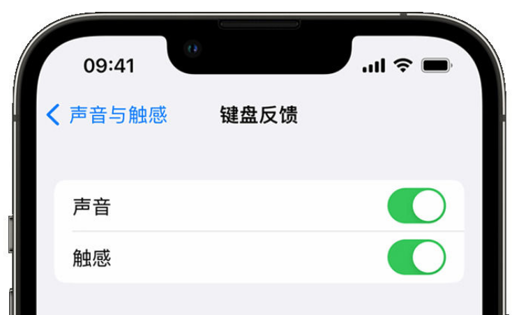 准格尔苹果手机维修分享iPhone 14触感键盘使用方法 