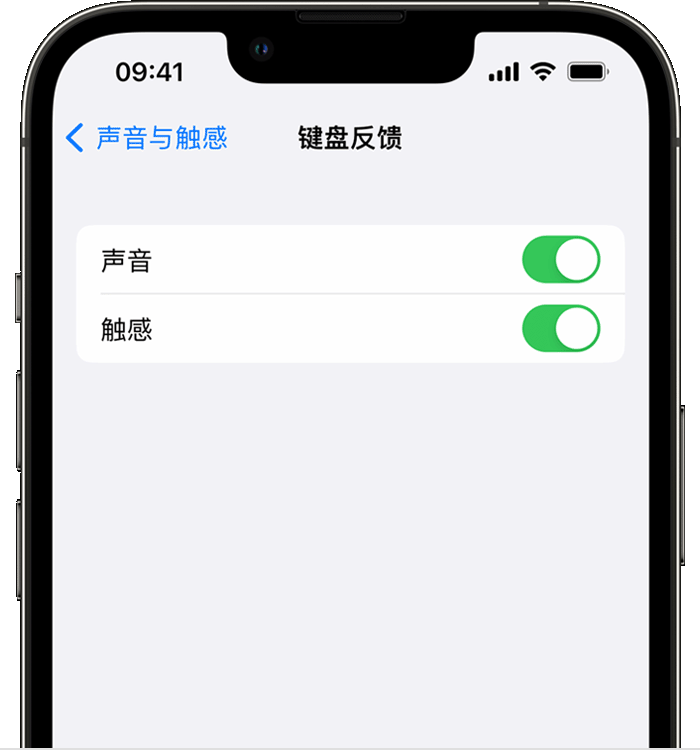 准格尔苹果14维修店分享如何在 iPhone 14 机型中使用触感键盘 