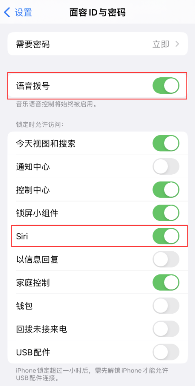 准格尔苹果维修网点分享不解锁 iPhone 的情况下通过 Siri 拨打电话的方法 