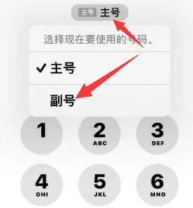 准格尔苹果14维修店分享iPhone 14 Pro Max使用副卡打电话的方法 