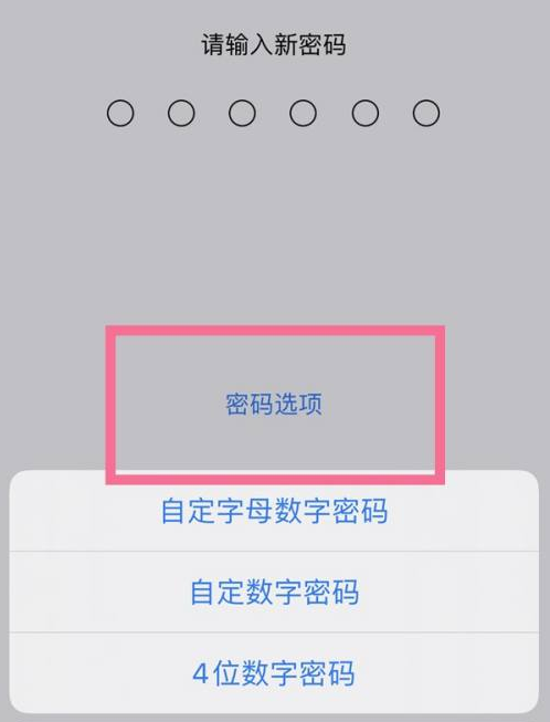 准格尔苹果14维修分享iPhone 14plus设置密码的方法 