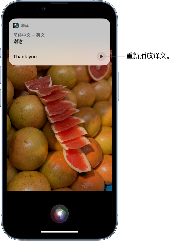 准格尔苹果14维修分享 iPhone 14 机型中使用 Siri：了解 Siri 能帮你做什么 