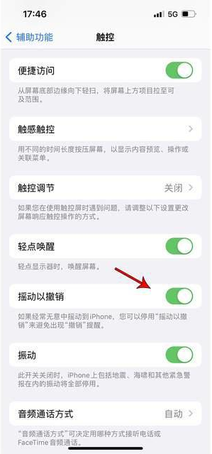 准格尔苹果手机维修分享iPhone手机如何设置摇一摇删除文字 